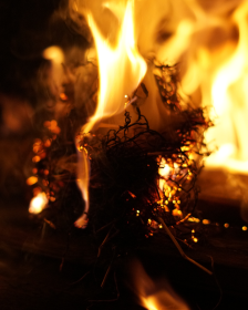 A close up picture of some burning kindling.